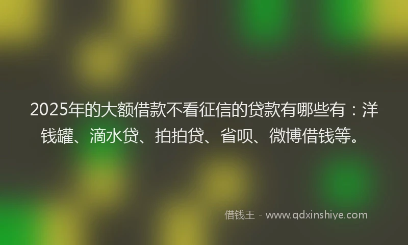 2025年的大额借款不看征信的贷款有哪些有：洋钱罐、滴水贷、拍拍贷、省呗、微博借钱等。