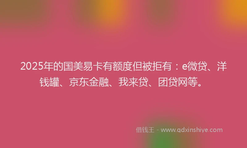 2025年的国美易卡有额度但被拒有：e微贷、洋钱罐、京东金融、我来贷、团贷网等。