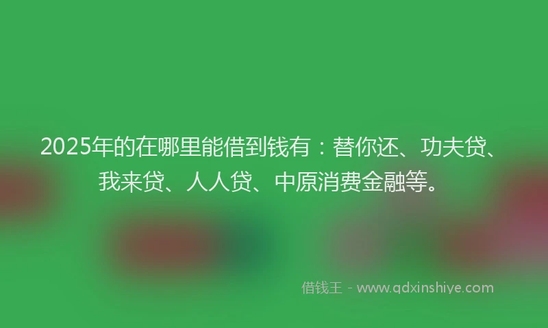 2025年的在哪里能借到钱有：替你还、功夫贷、我来贷、人人贷、中原消费金融等。