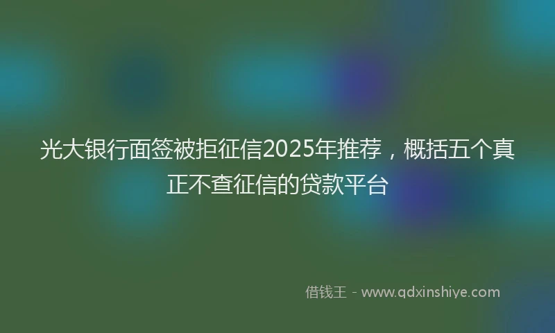 光大银行面签被拒征信2025年推荐，概括五个真正不查征信的贷款平台