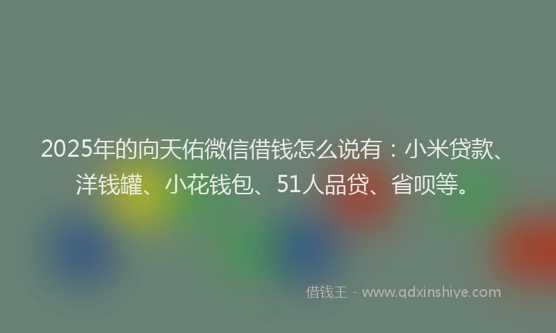 2025年的向天佑微信借钱怎么说有：小米贷款、洋钱罐、小花钱包、51人品贷、省呗等。