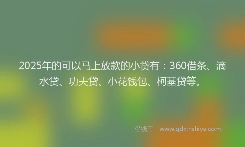 2025年的可以马上放款的小贷有：360借条、滴水贷、功夫贷、小花钱包、柯基贷等。