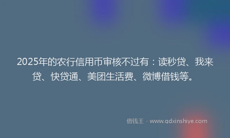 2025年的农行信用币审核不过有：读秒贷、我来贷、快贷通、美团生活费、微博借钱等。