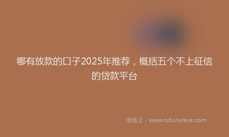 哪有放款的口子2025年推荐，概括五个不上征信的贷款平台