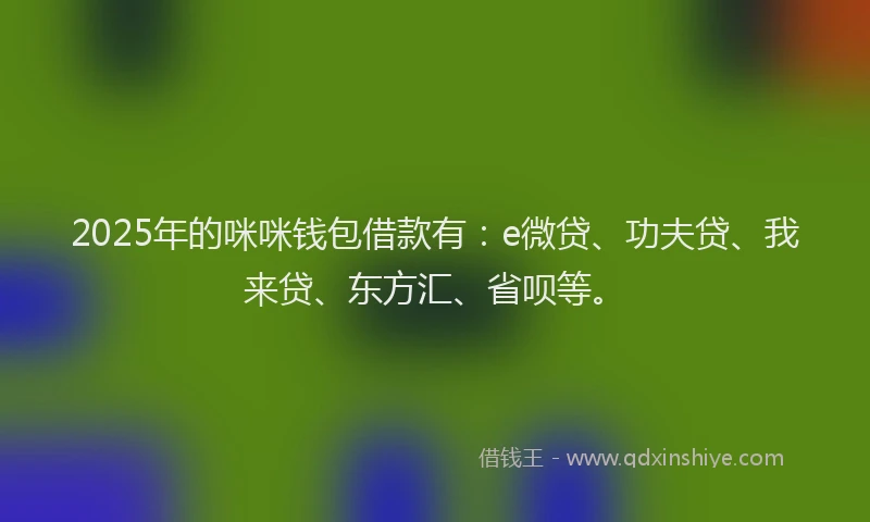 2025年的咪咪钱包借款有：e微贷、功夫贷、我来贷、东方汇、省呗等。