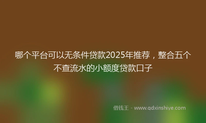 哪个平台可以无条件贷款2025年推荐，整合五个不查流水的小额度贷款口子