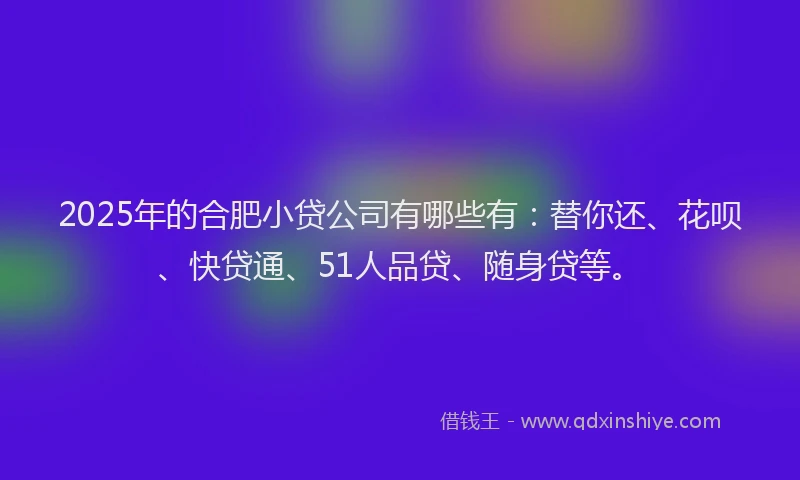 2025年的合肥小贷公司有哪些有：替你还、花呗、快贷通、51人品贷、随身贷等。