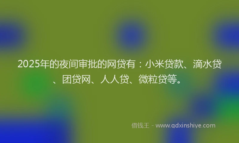 2025年的夜间审批的网贷有：小米贷款、滴水贷、团贷网、人人贷、微粒贷等。