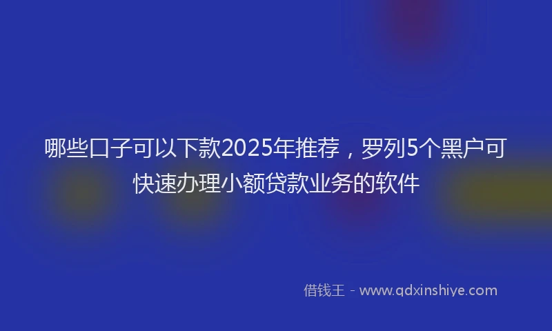 哪些口子可以下款2025年推荐，罗列5个黑户可快速办理小额贷款业务的软件