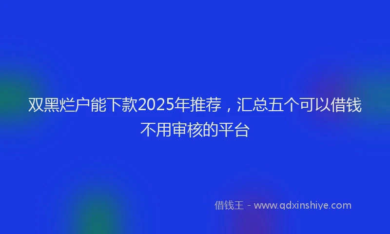 双黑烂户能下款2025年推荐，汇总五个可以借钱不用审核的平台