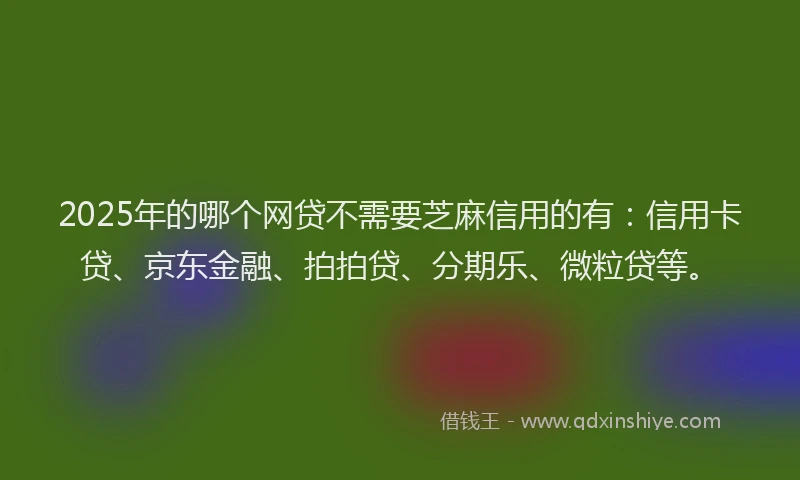 2025年的哪个网贷不需要芝麻信用的有：信用卡贷、京东金融、拍拍贷、分期乐、微粒贷等。