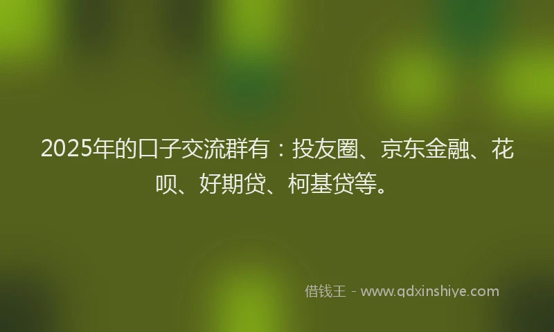 2025年的口子交流群有：投友圈、京东金融、花呗、好期贷、柯基贷等。