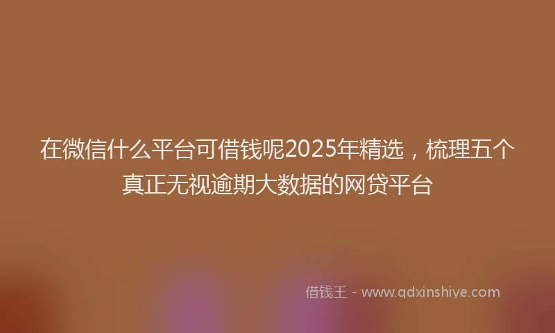 在微信什么平台可借钱呢2025年精选，梳理五个真正无视逾期大数据的网贷平台