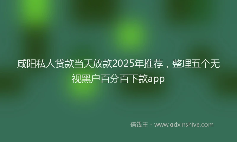 咸阳私人贷款当天放款2025年推荐，整理五个无视黑户百分百下款app