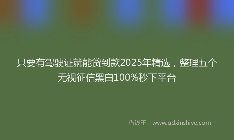只要有驾驶证就能贷到款2025年精选，整理五个无视征信黑白100%秒下平台