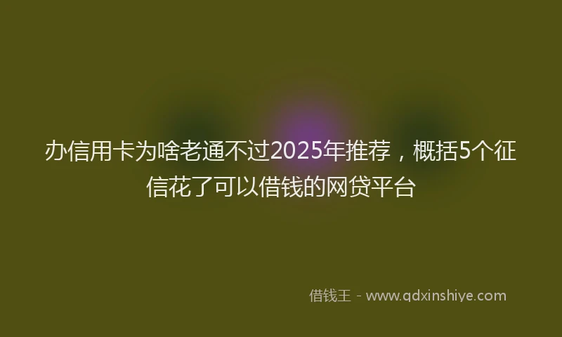 办信用卡为啥老通不过2025年推荐，概括5个征信花了可以借钱的网贷平台