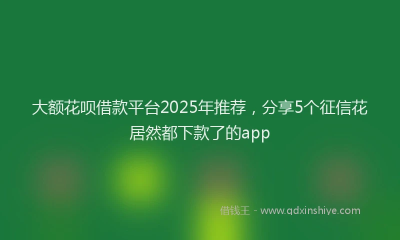 大额花呗借款平台2025年推荐，分享5个征信花居然都下款了的app