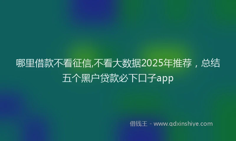 哪里借款不看征信,不看大数据2025年推荐，总结五个黑户贷款必下口子app