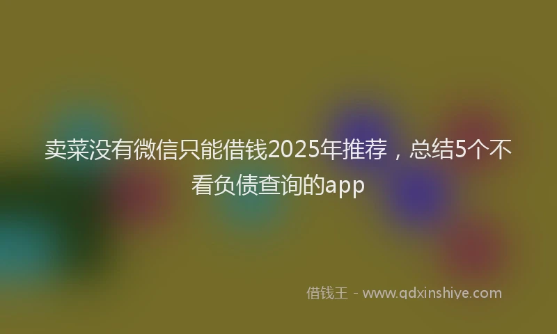 卖菜没有微信只能借钱2025年推荐，总结5个不看负债查询的app