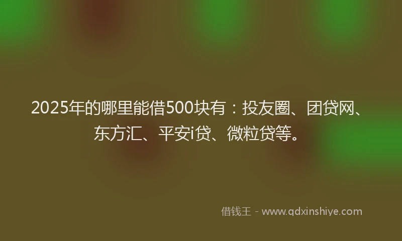 2025年的哪里能借500块有：投友圈、团贷网、东方汇、平安i贷、微粒贷等。