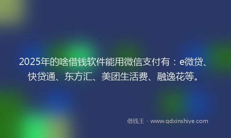 2025年的啥借钱软件能用微信支付有：e微贷、快贷通、东方汇、美团生活费、融逸花等。