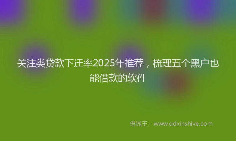 关注类贷款下迁率2025年推荐，梳理五个黑户也能借款的软件