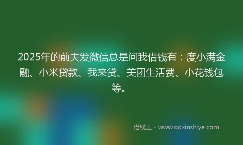 2025年的前夫发微信总是问我借钱有：度小满金融、小米贷款、我来贷、美团生活费、小花钱包等。