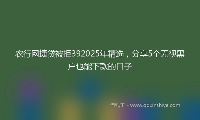 农行网捷贷被拒392025年精选，分享5个无视黑户也能下款的口子