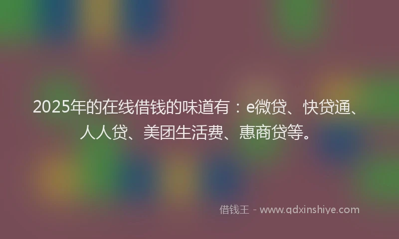 2025年的在线借钱的味道有：e微贷、快贷通、人人贷、美团生活费、惠商贷等。