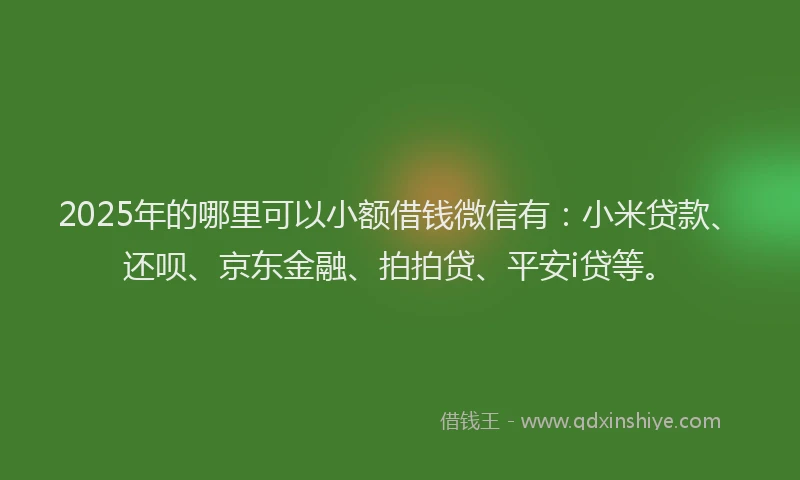 2025年的哪里可以小额借钱微信有：小米贷款、还呗、京东金融、拍拍贷、平安i贷等。