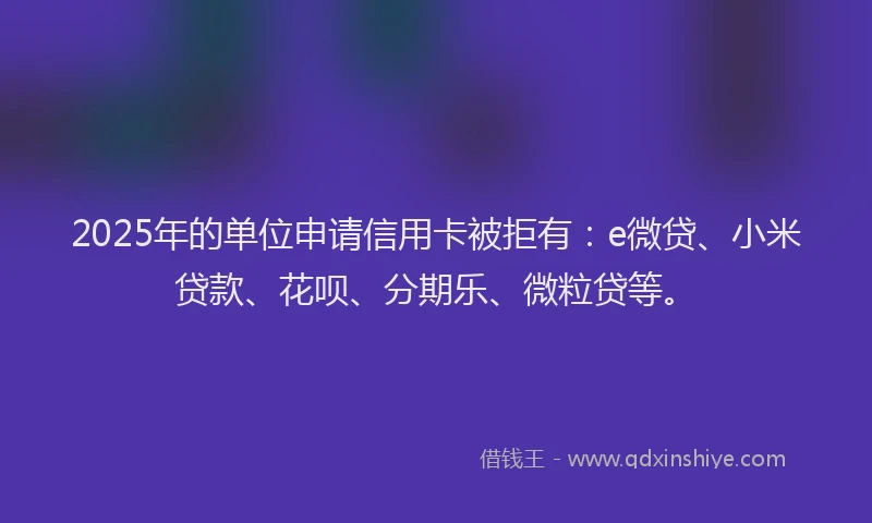 2025年的单位申请信用卡被拒有：e微贷、小米贷款、花呗、分期乐、微粒贷等。