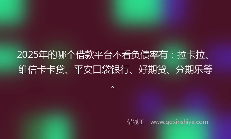 2025年的哪个借款平台不看负债率有：拉卡拉、维信卡卡贷、平安口袋银行、好期贷、分期乐等。