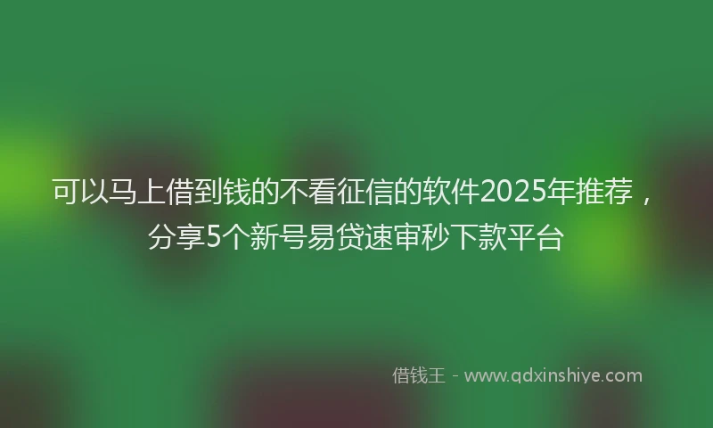 可以马上借到钱的不看征信的软件2025年推荐，分享5个新号易贷速审秒下款平台