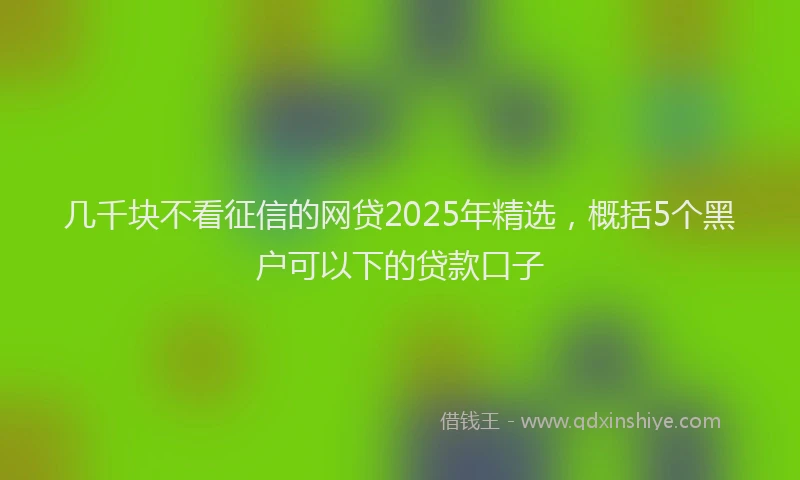 几千块不看征信的网贷2025年精选，概括5个黑户可以下的贷款口子