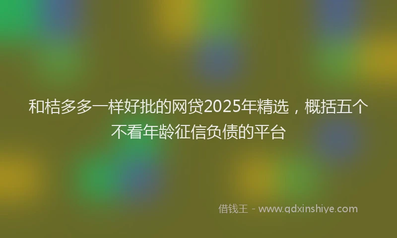 和桔多多一样好批的网贷2025年精选，概括五个不看年龄征信负债的平台