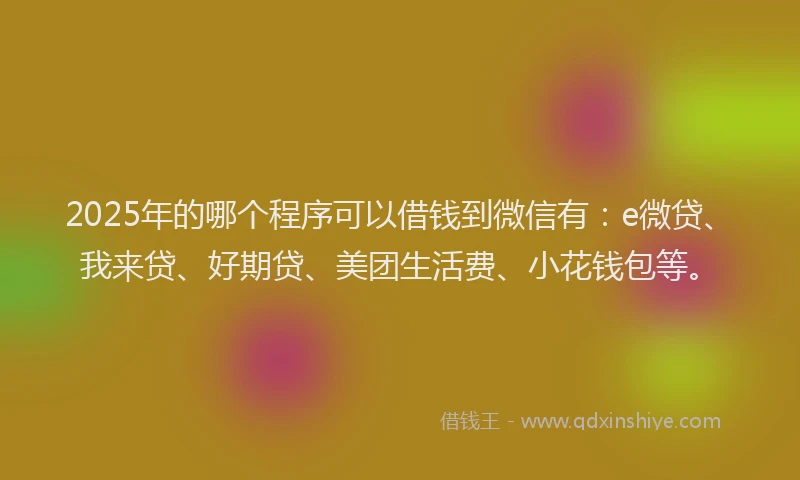 2025年的哪个程序可以借钱到微信有：e微贷、我来贷、好期贷、美团生活费、小花钱包等。