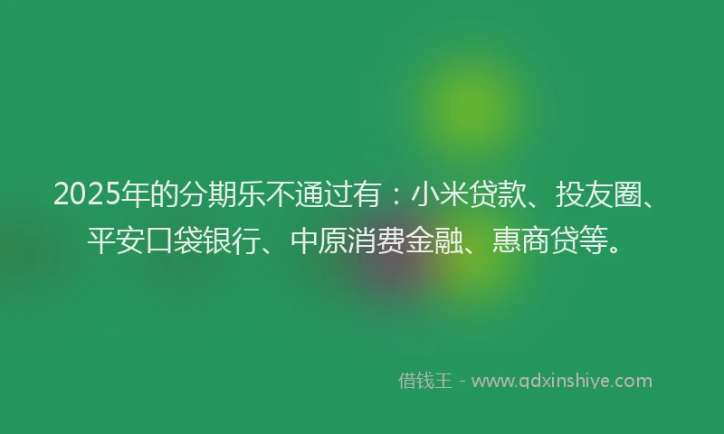 2025年的分期乐不通过有：小米贷款、投友圈、平安口袋银行、中原消费金融、惠商贷等。