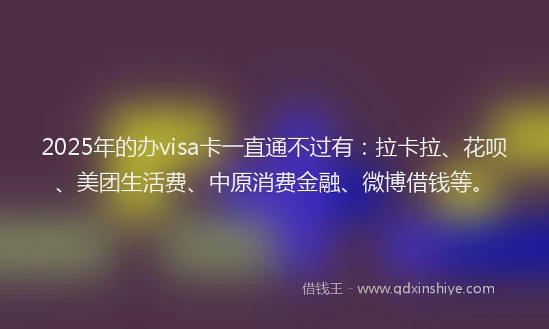 2025年的办visa卡一直通不过有：拉卡拉、花呗、美团生活费、中原消费金融、微博借钱等。