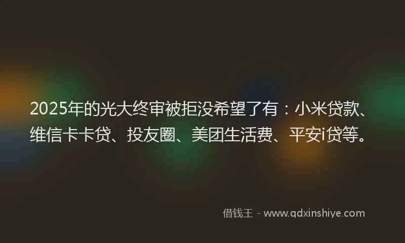 2025年的光大终审被拒没希望了有：小米贷款、维信卡卡贷、投友圈、美团生活费、平安i贷等。