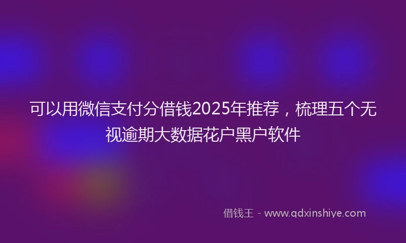 可以用微信支付分借钱2025年推荐，梳理五个无视逾期大数据花户黑户软件