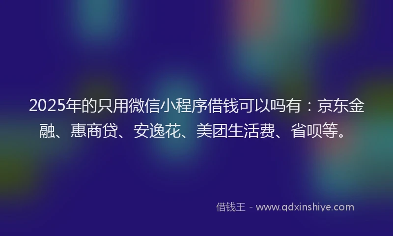 2025年的只用微信小程序借钱可以吗有：京东金融、惠商贷、安逸花、美团生活费、省呗等。