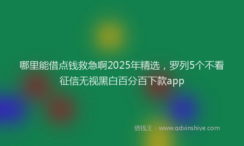 哪里能借点钱救急啊2025年精选，罗列5个不看征信无视黑白百分百下款app