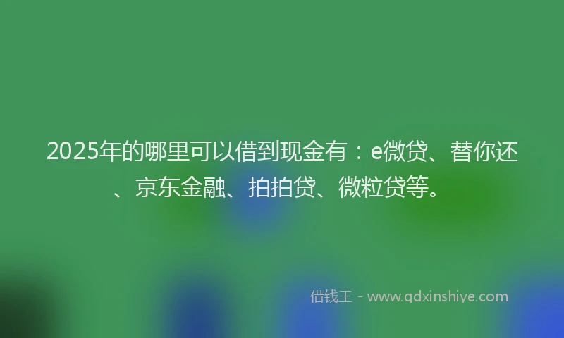 2025年的哪里可以借到现金有：e微贷、替你还、京东金融、拍拍贷、微粒贷等。