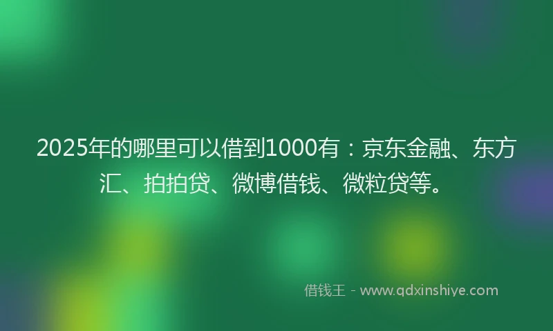 2025年的哪里可以借到1000有：京东金融、东方汇、拍拍贷、微博借钱、微粒贷等。