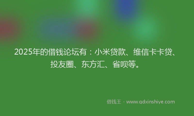2025年的借钱论坛有：小米贷款、维信卡卡贷、投友圈、东方汇、省呗等。