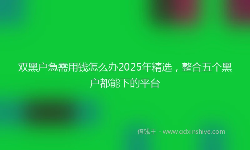 双黑户急需用钱怎么办2025年精选，整合五个黑户都能下的平台