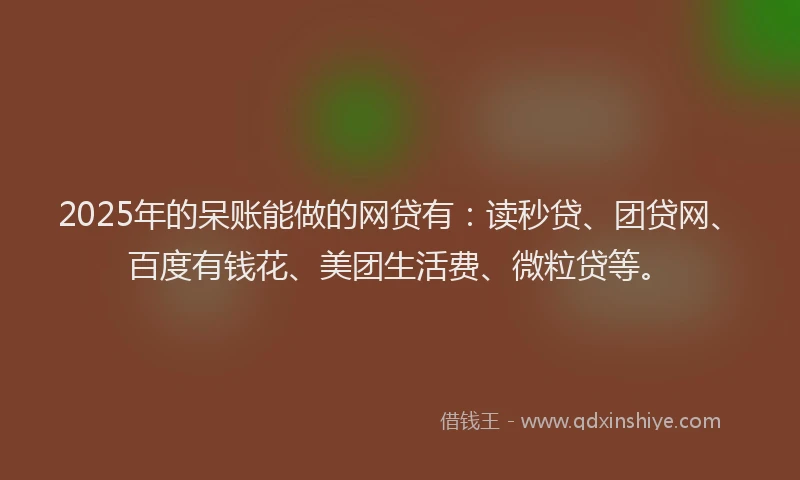 2025年的呆账能做的网贷有：读秒贷、团贷网、百度有钱花、美团生活费、微粒贷等。
