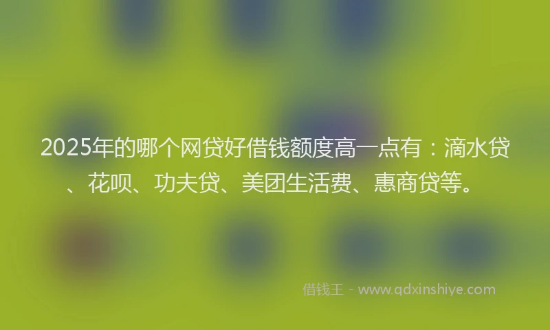 2025年的哪个网贷好借钱额度高一点有：滴水贷、花呗、功夫贷、美团生活费、惠商贷等。