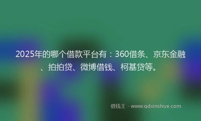 2025年的哪个借款平台有：360借条、京东金融、拍拍贷、微博借钱、柯基贷等。