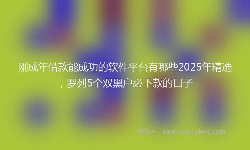 刚成年借款能成功的软件平台有哪些2025年精选，罗列5个双黑户必下款的口子